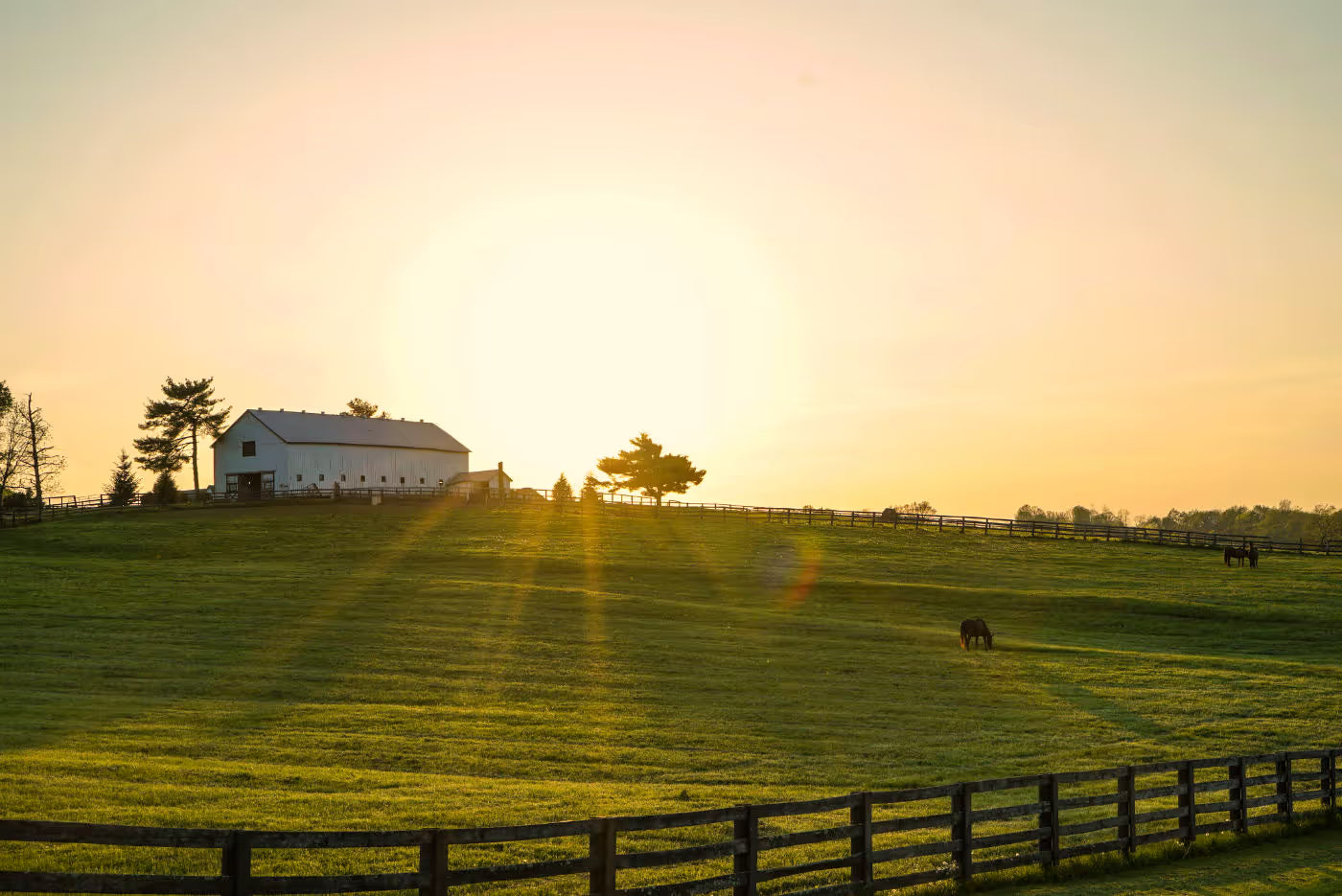 Sunset over a Kentucky pasture with horses and a white barn.